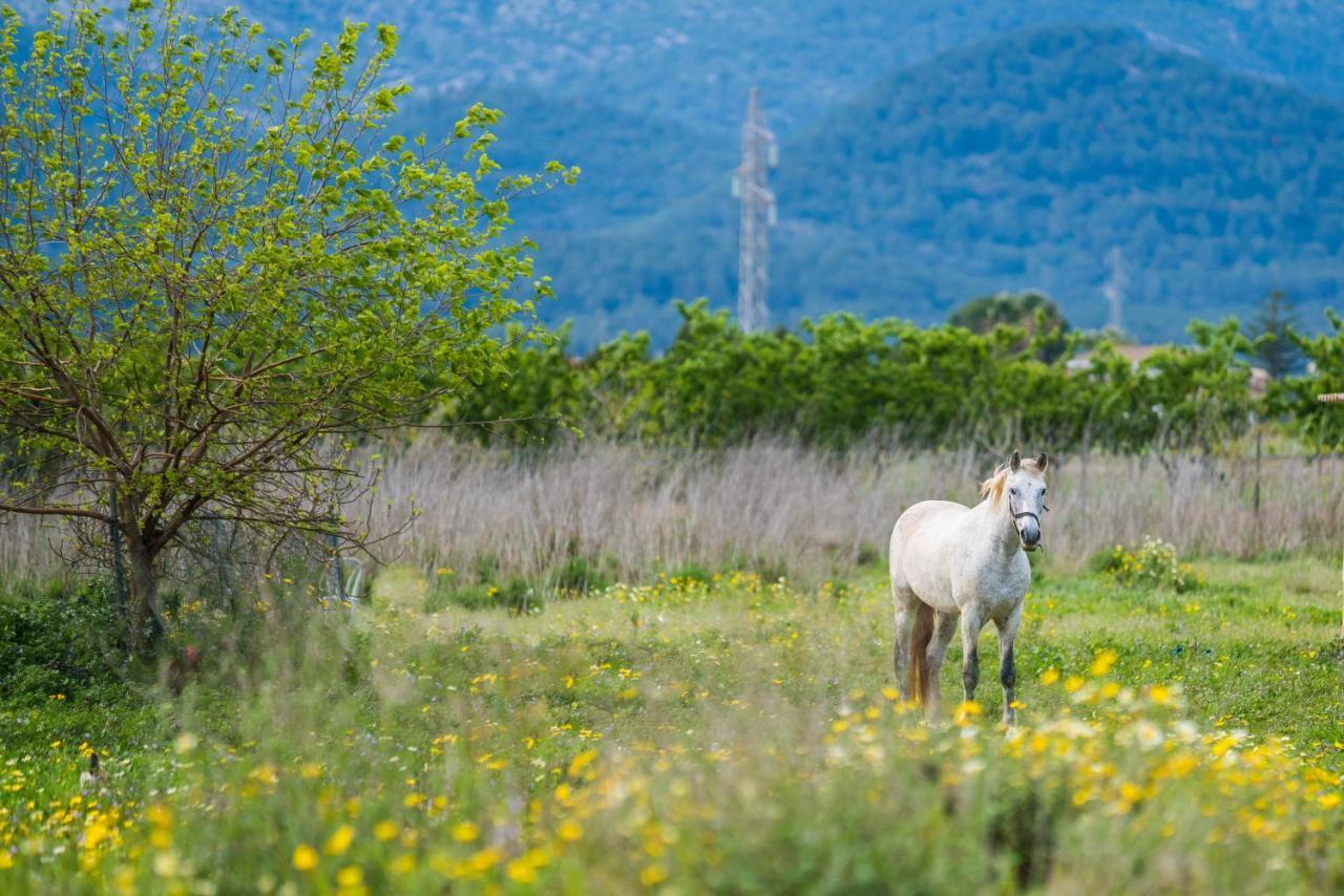 Traumhafte Finca Son Senyor - Mit Pferdekoppel Villa Sa Pobla Exteriör bild