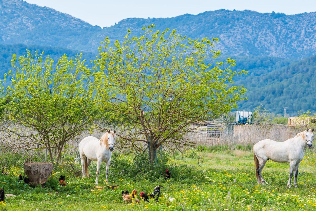 Traumhafte Finca Son Senyor - Mit Pferdekoppel Villa Sa Pobla Exteriör bild